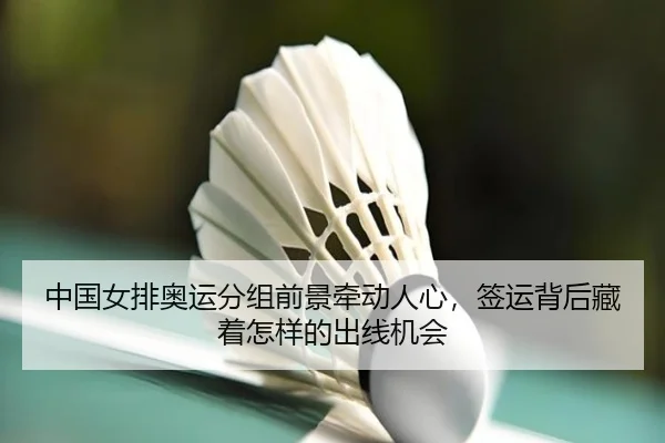 中国女排奥运分组前景牵动人心，签运背后藏着怎样的出线机会